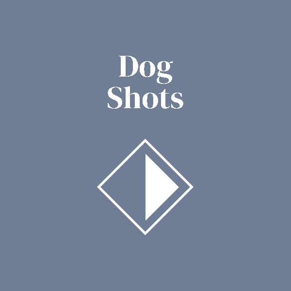 Dog shots