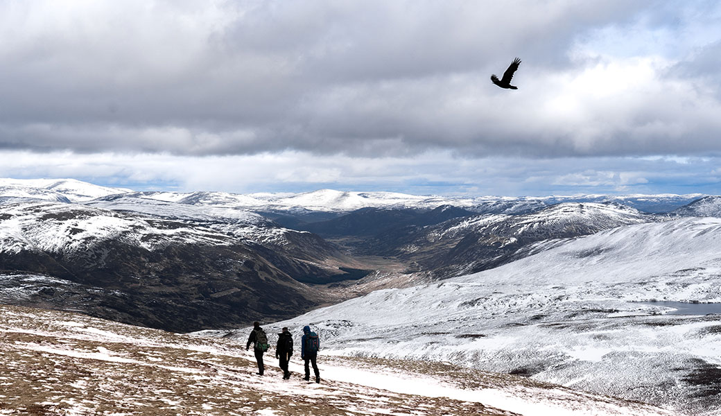 The Carinwell Munros