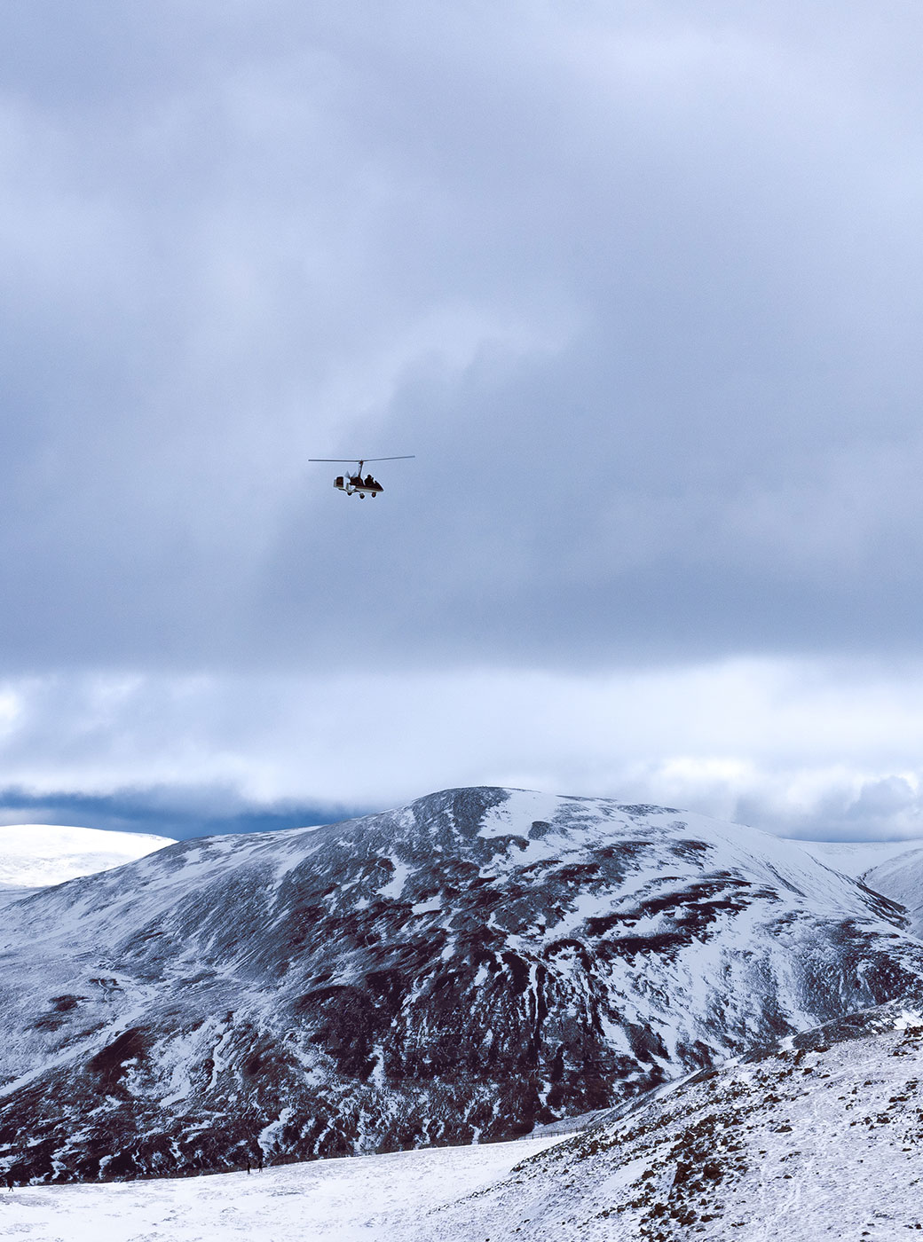 The Carinwell Munros